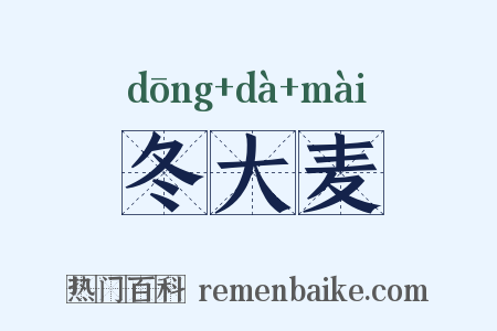 冬大麦是什么意思的图片